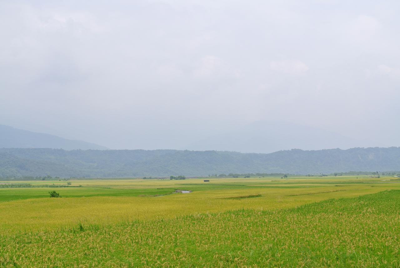 Pu Shi Homestay Юйли Экстерьер фото